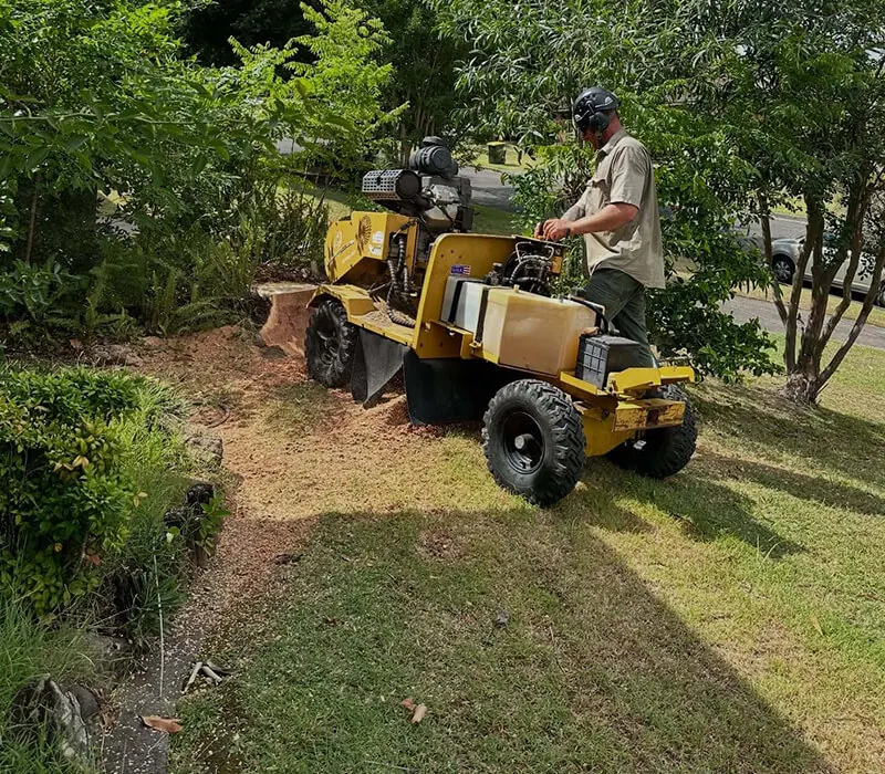 Danny’s Property Care at work in Grafton
