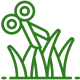 icon trim green