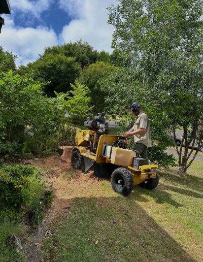 Local home maintenance services