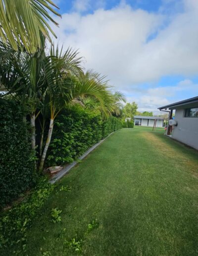 Residential property care in Grafton