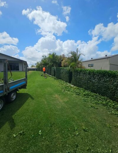 Exterior property care and maintenance