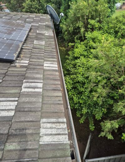 Professional maintenance contractor