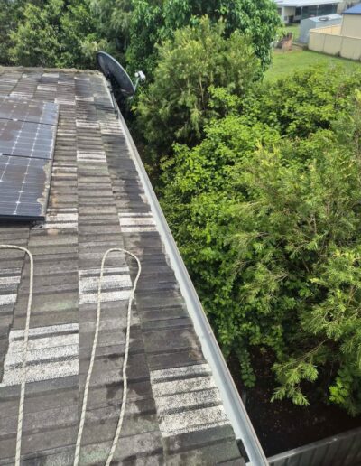 Property maintenance experts in Grafton
