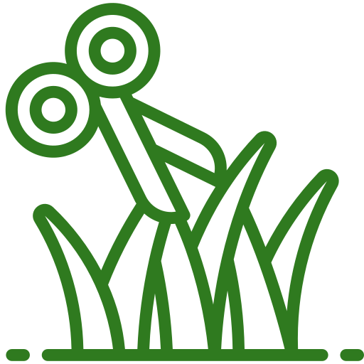 icon trim green